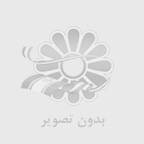 قیمت استاد بولت استنلس استیل